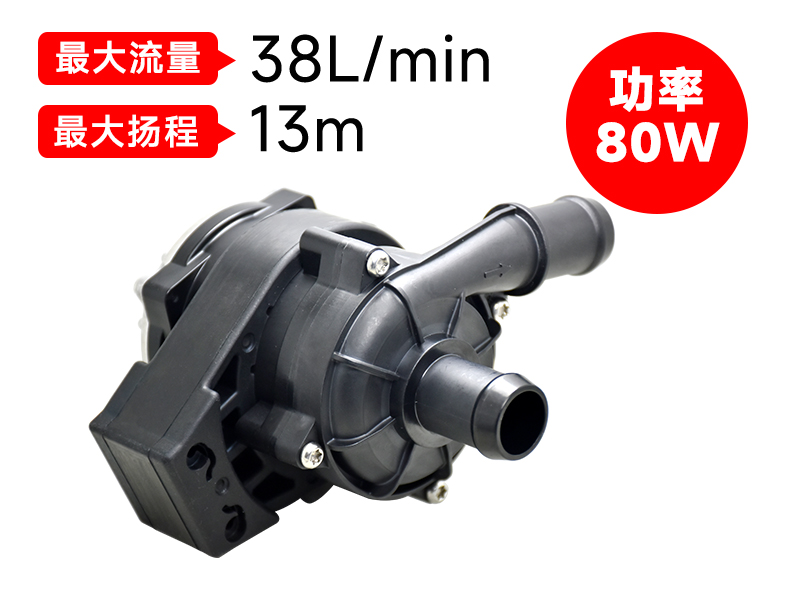 P6220汽車電子泵(80W)